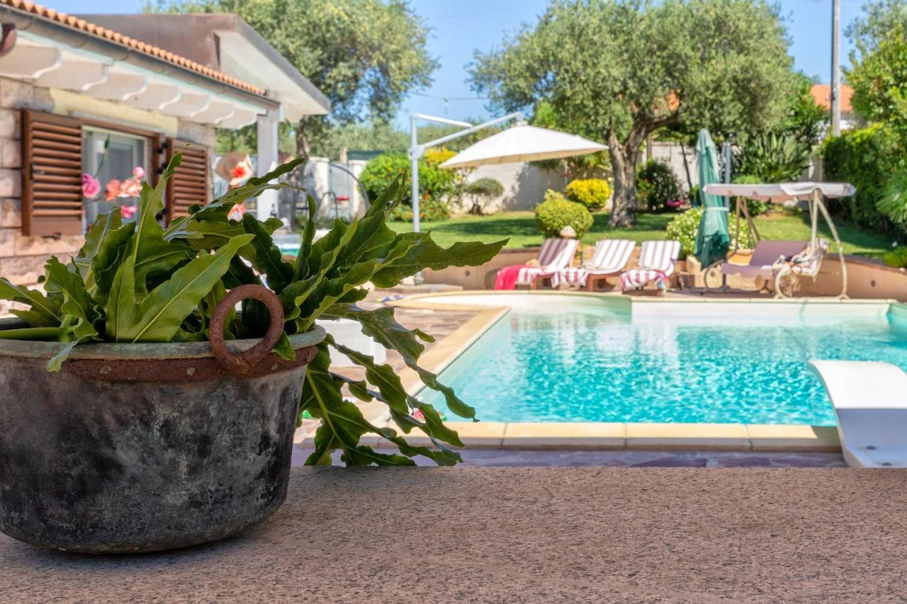 Villa Sunflower Αλγκέρο Εξωτερικό φωτογραφία