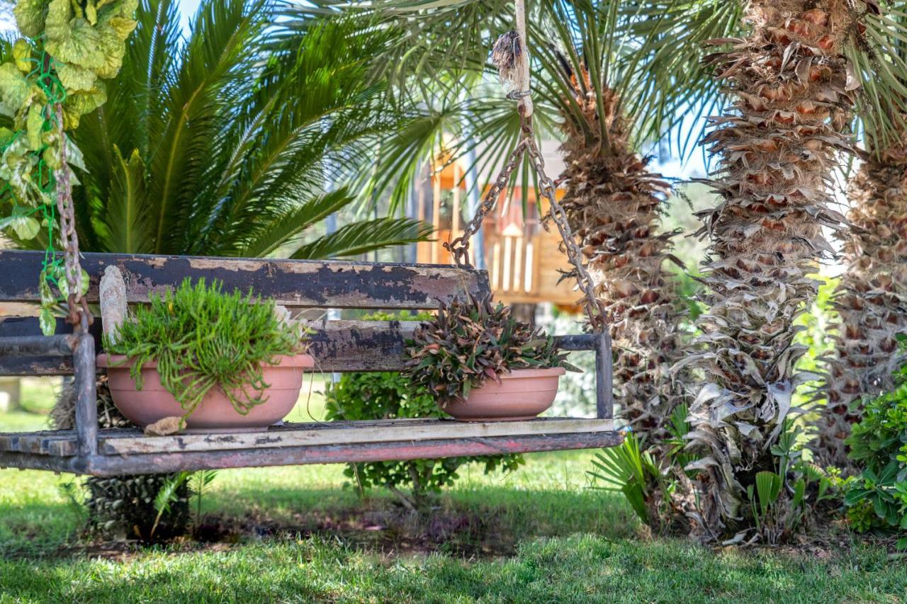 Villa Sunflower Αλγκέρο Εξωτερικό φωτογραφία