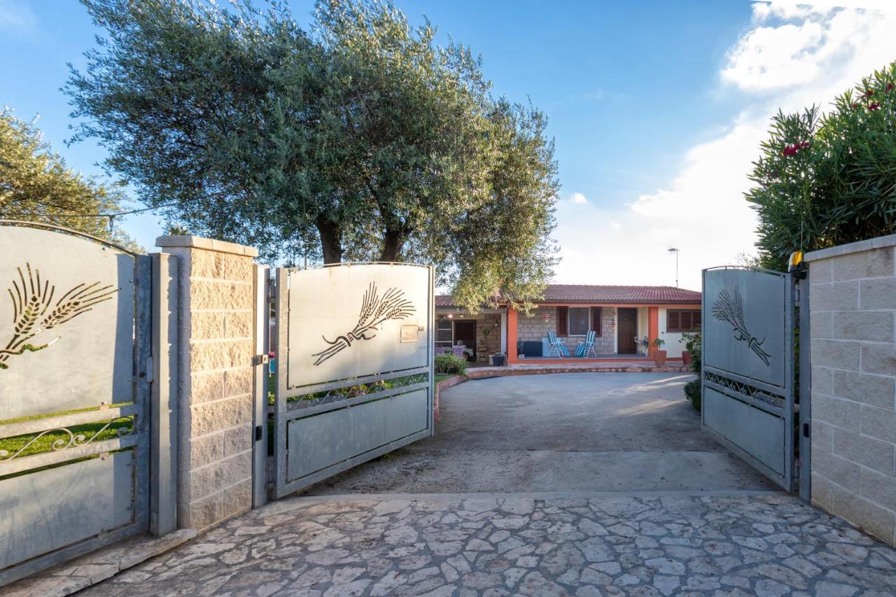 Villa Sunflower Αλγκέρο Εξωτερικό φωτογραφία